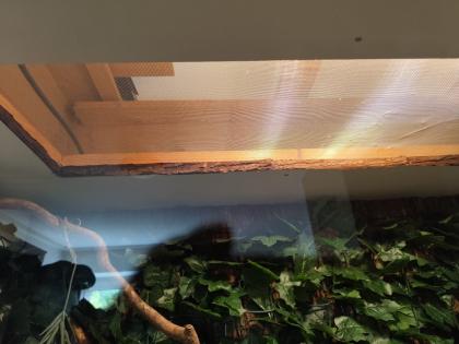 Holzterrarium zu Verkaufen