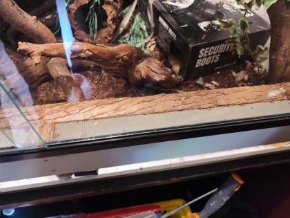 Holzterrarium zu Verkaufen
