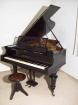 Bechstein Flügel BJ 1906/1907