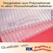 Doppelstegplatten 6 mm und 16 mm aus Polycarbonat PC