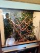 Holzterrarium zu Verkaufen
